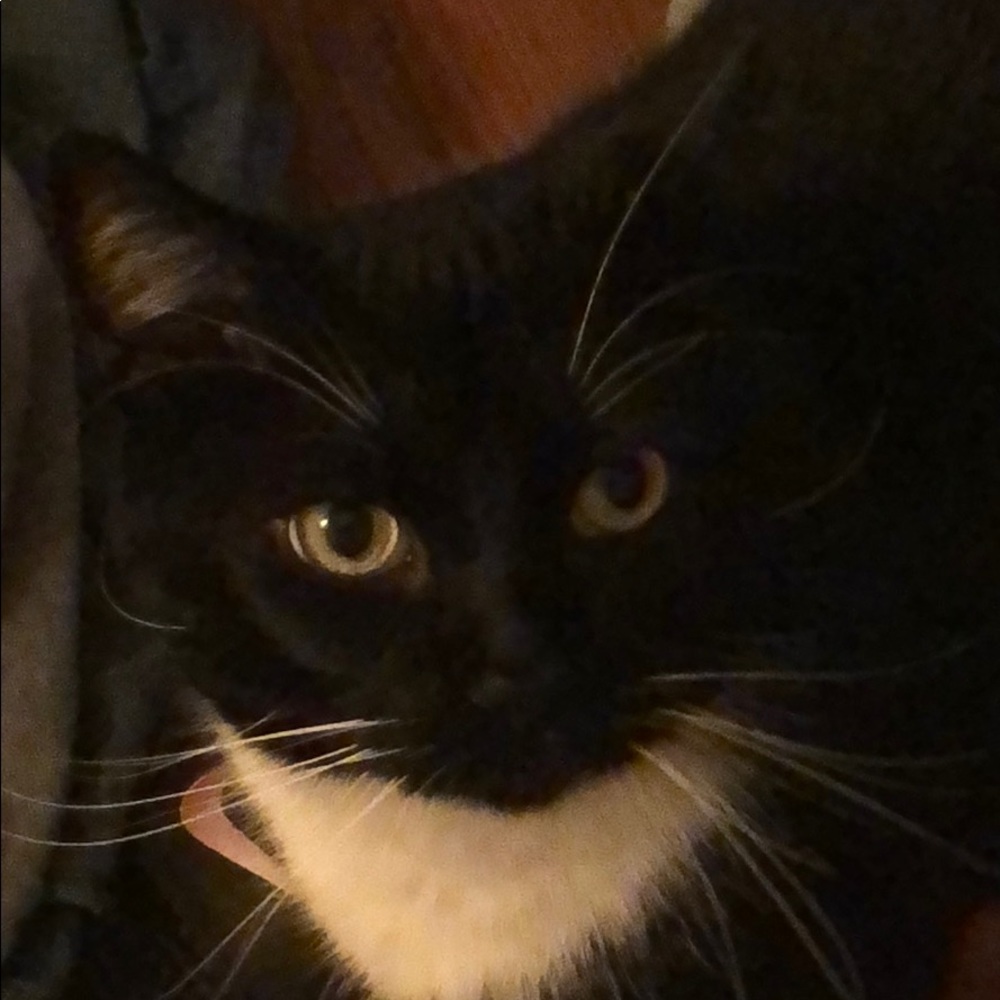 Meet your Posher, Ayson